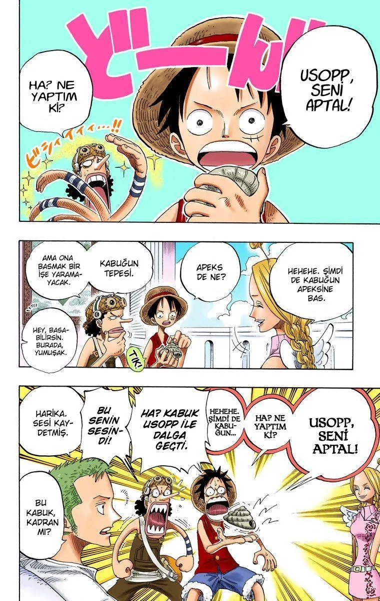 One Piece [Renkli] - Sayfa 11