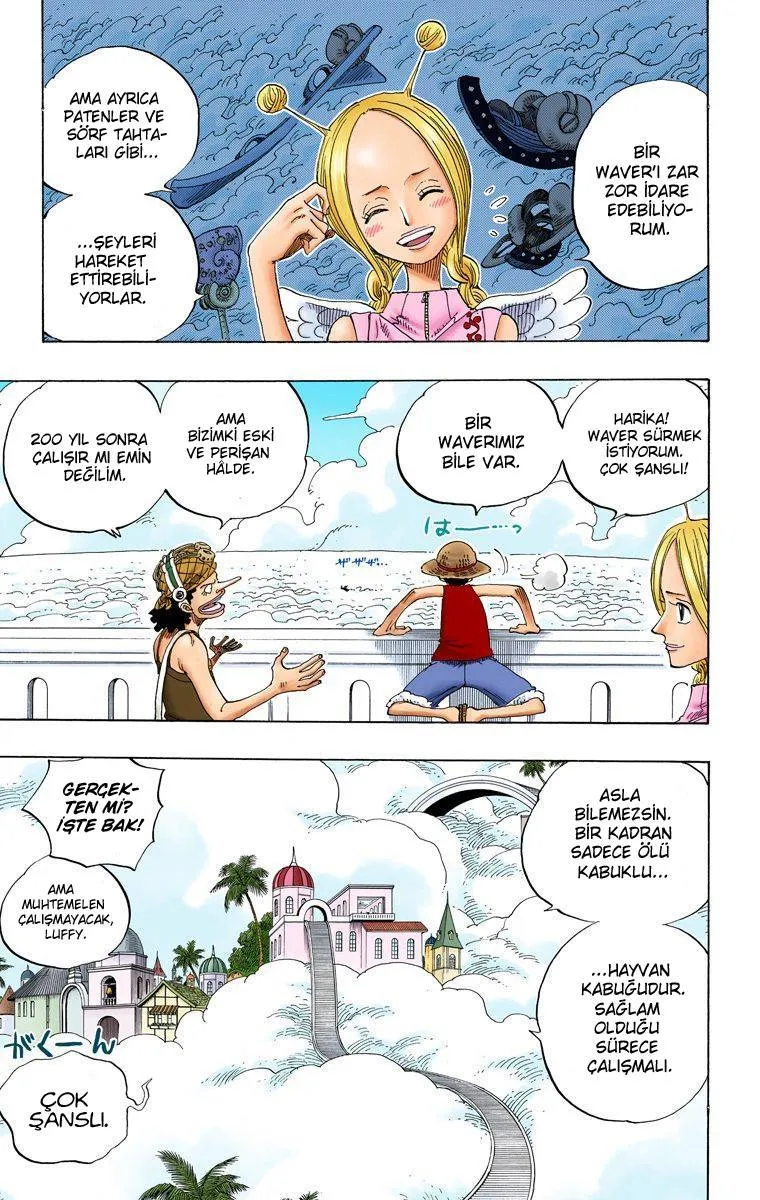 One Piece [Renkli] - Sayfa 14