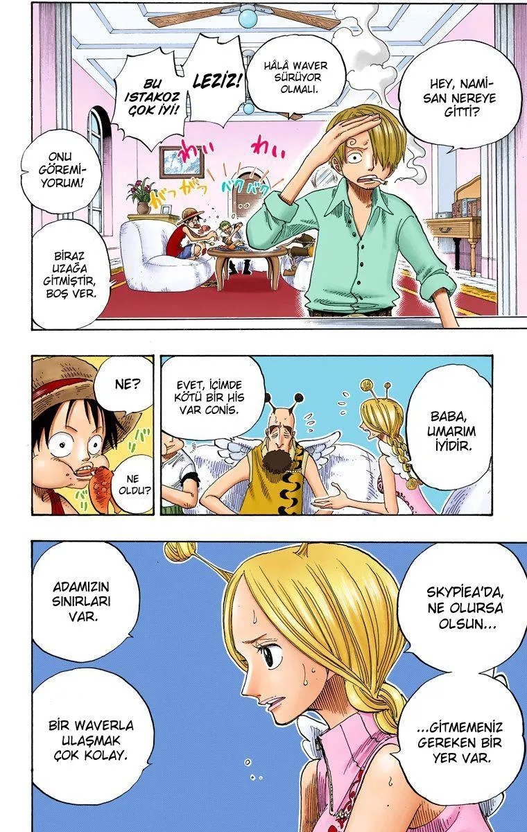 One Piece [Renkli] - Sayfa 17