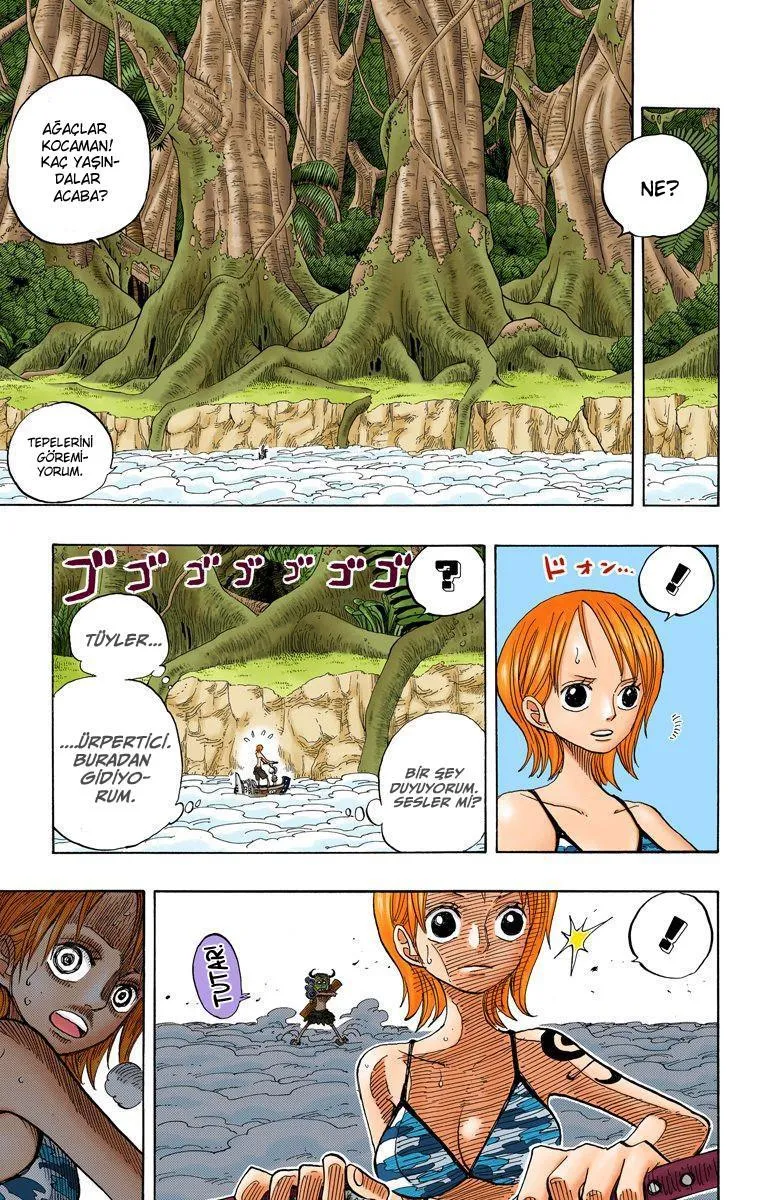 One Piece [Renkli] - Sayfa 5