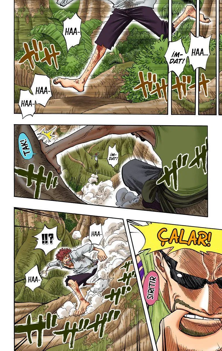 One Piece [Renkli] - Sayfa 6