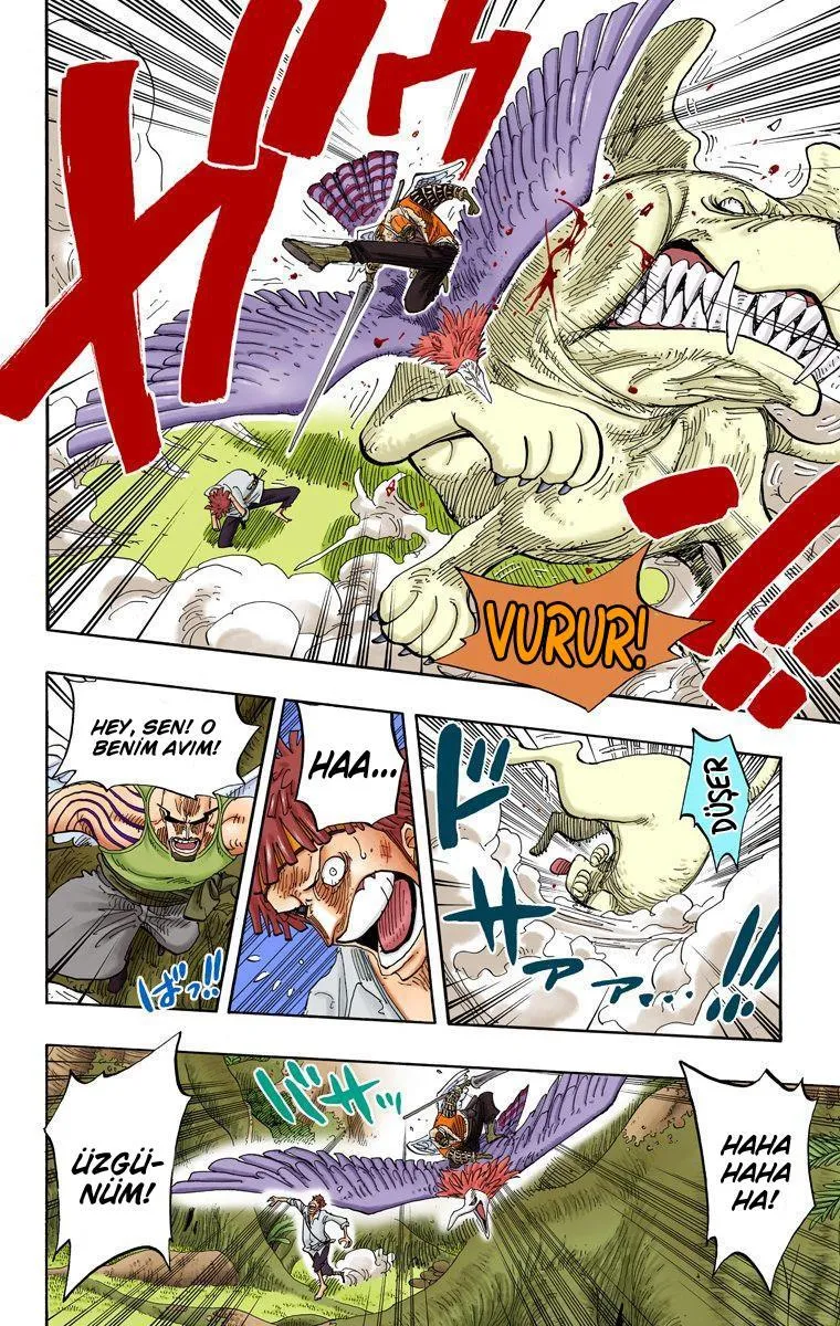 One Piece [Renkli] - Sayfa 8