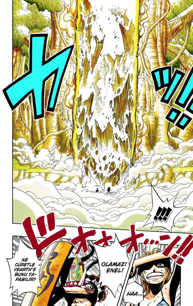 One Piece [Renkli] - Sayfa 12