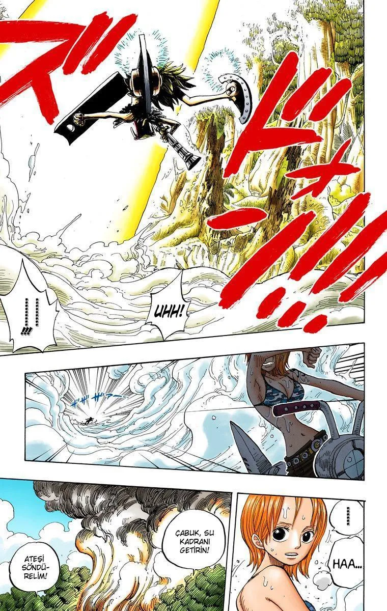 One Piece [Renkli] - Sayfa 13