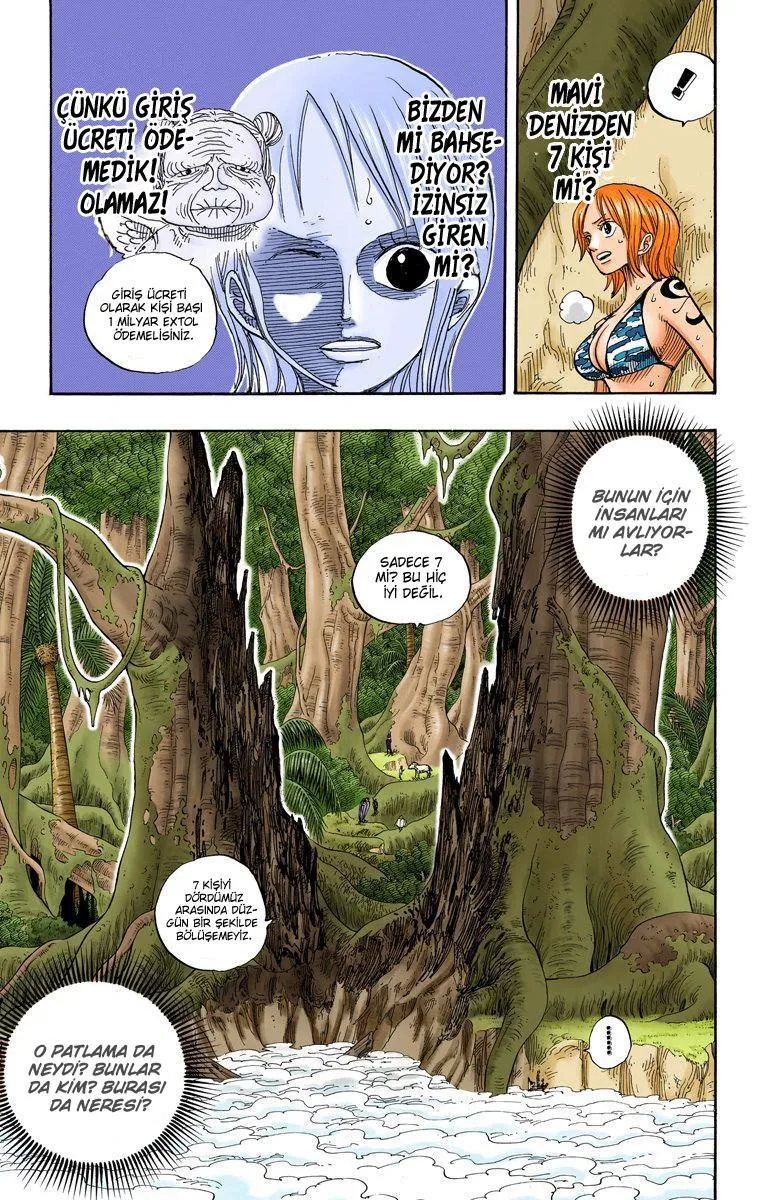 One Piece [Renkli] - Sayfa 15