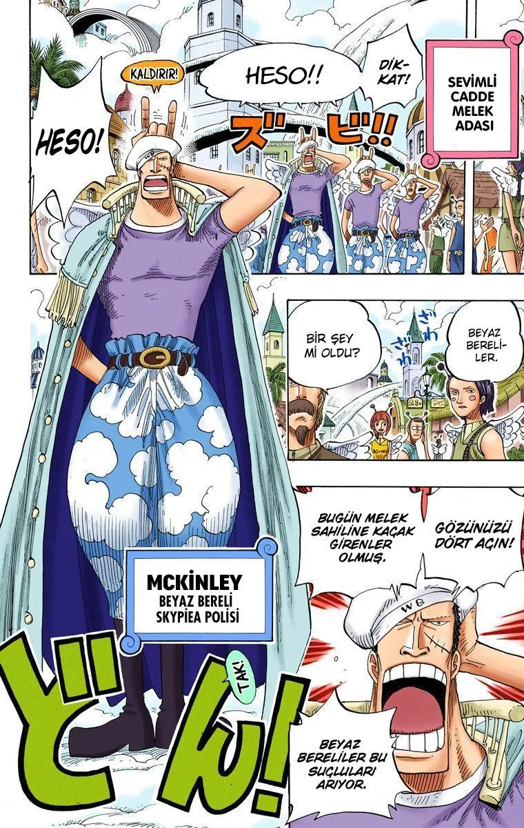 One Piece [Renkli] - Sayfa 16