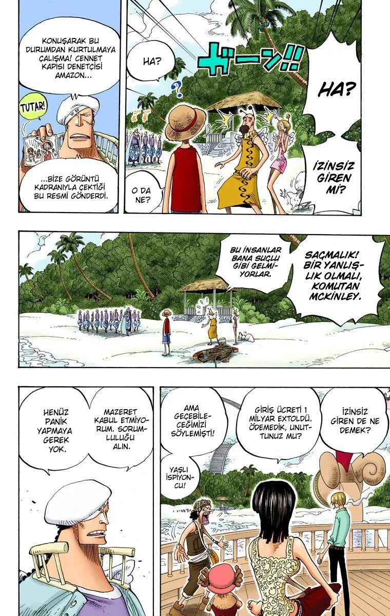 One Piece [Renkli] - Sayfa 5