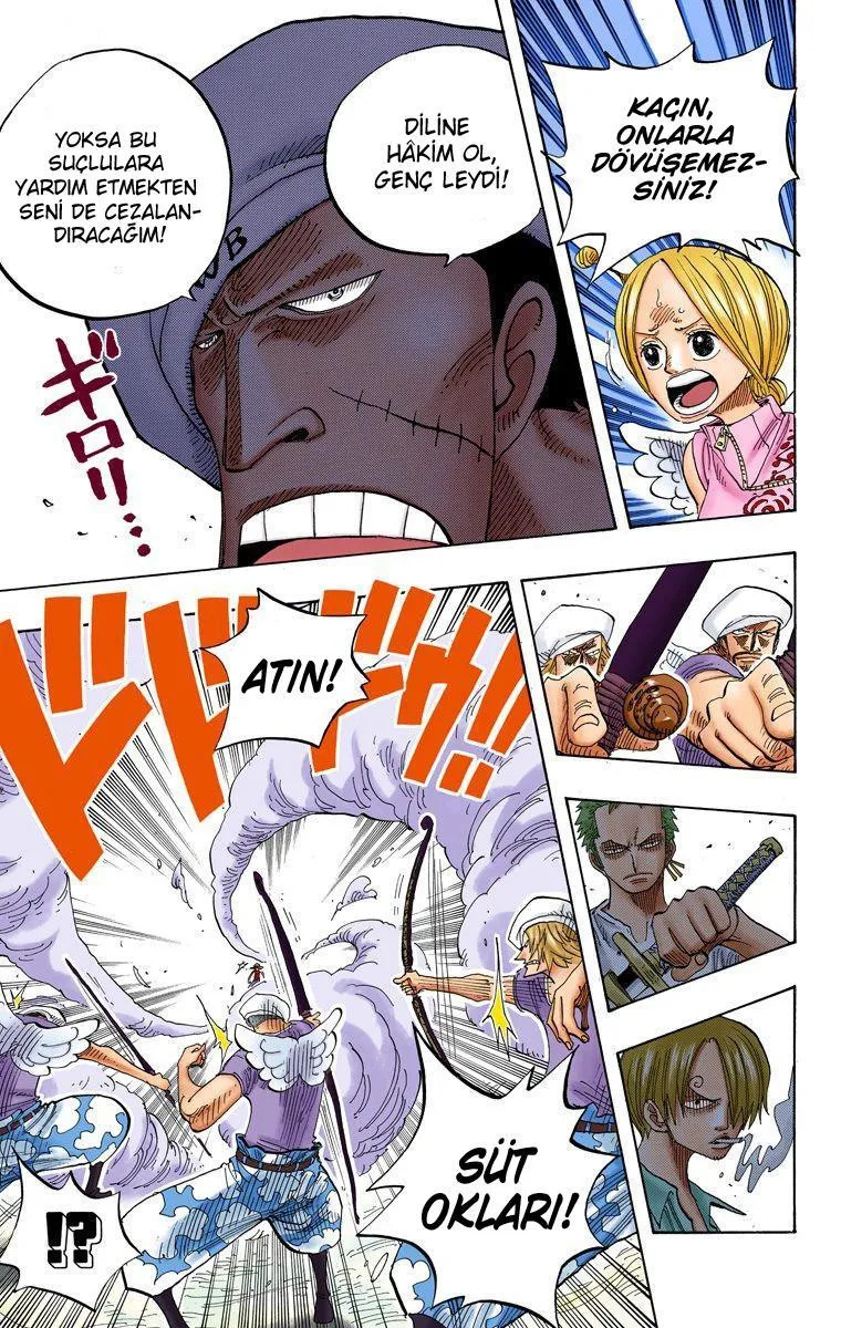 One Piece [Renkli] - Sayfa 12