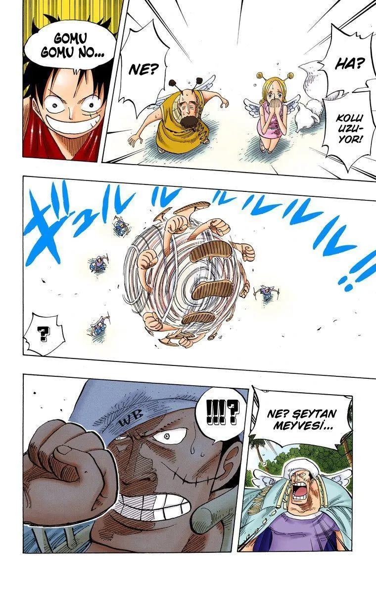 One Piece [Renkli] - Sayfa 15