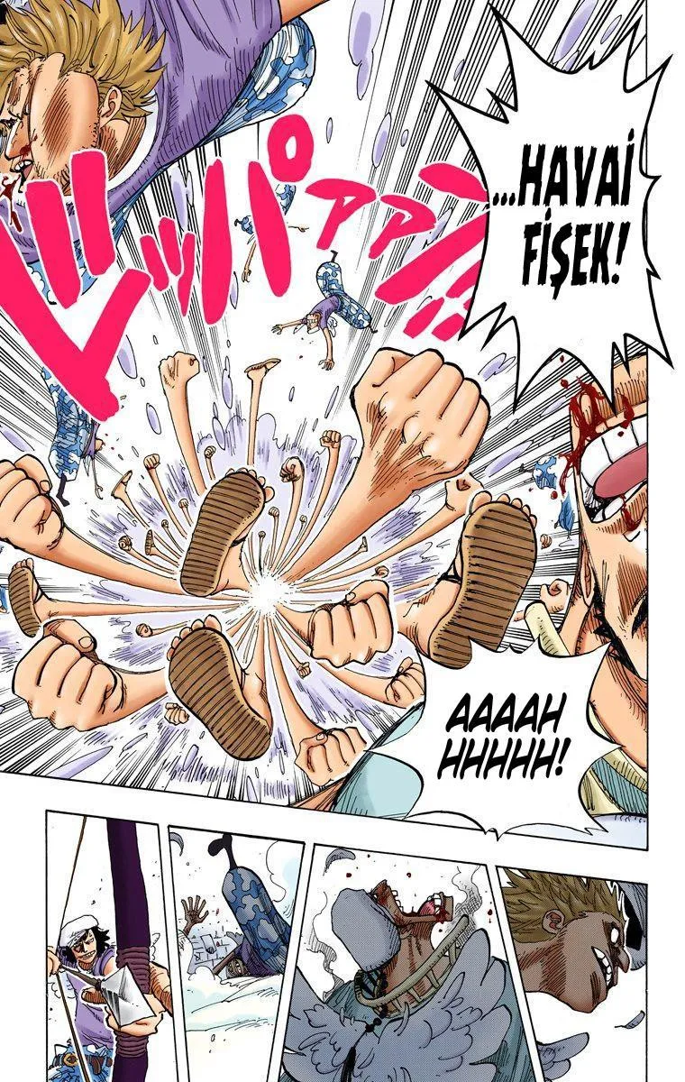 One Piece [Renkli] - Sayfa 16