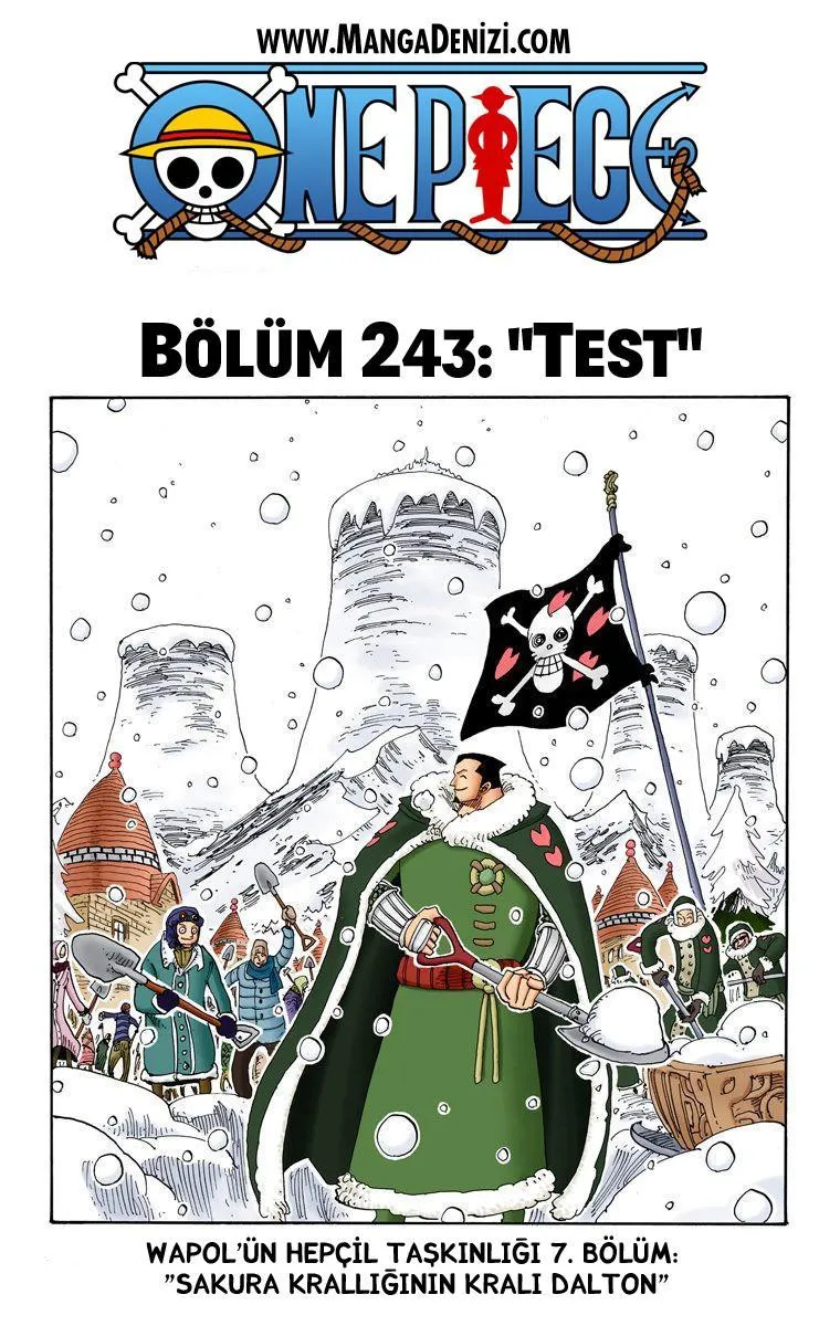 One Piece [Renkli] - Sayfa 2