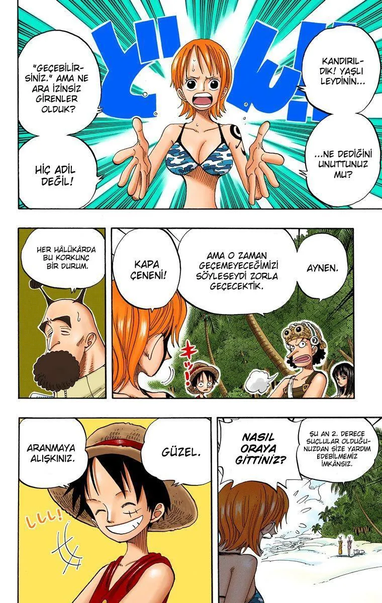 One Piece [Renkli] - Sayfa 3
