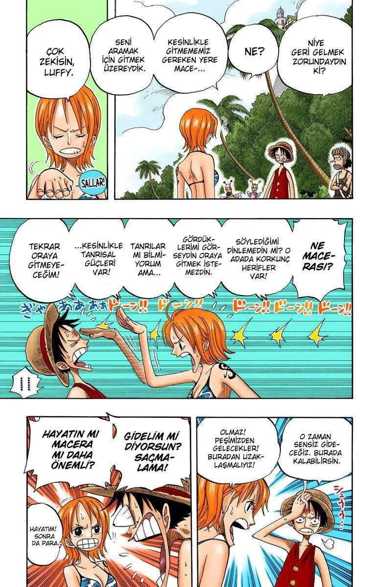 One Piece [Renkli] - Sayfa 4