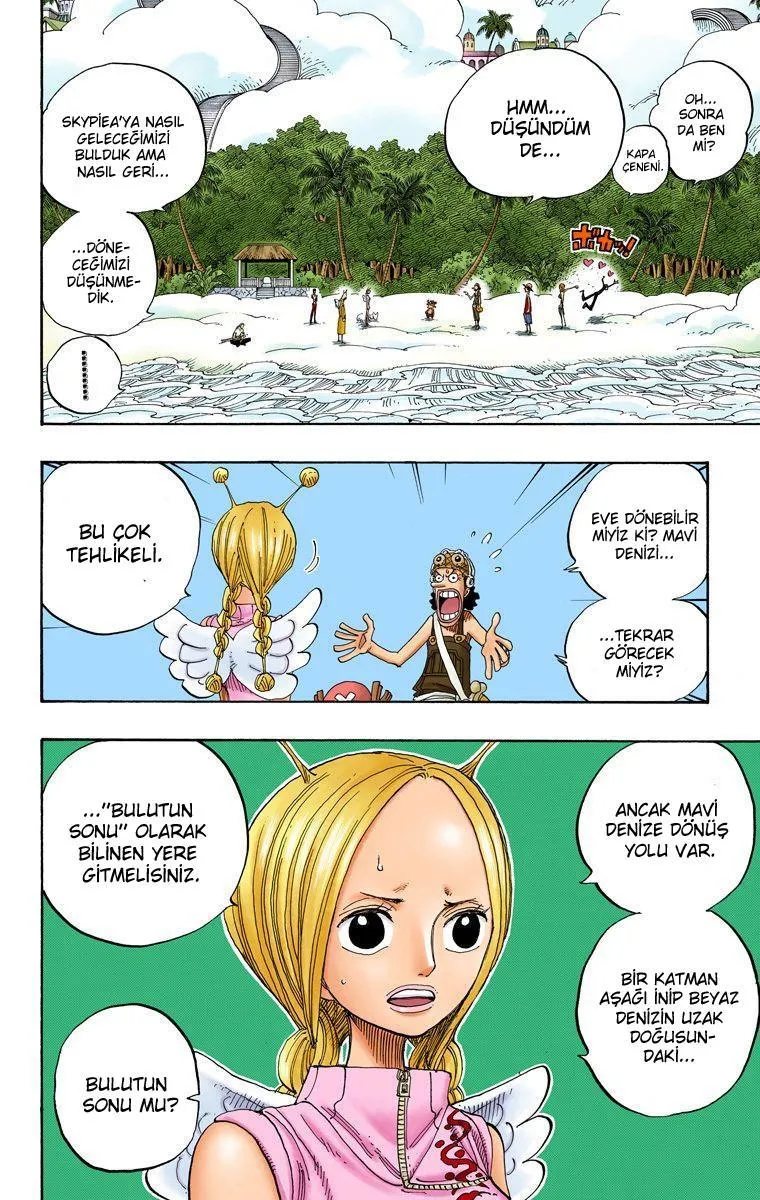 One Piece [Renkli] - Sayfa 5
