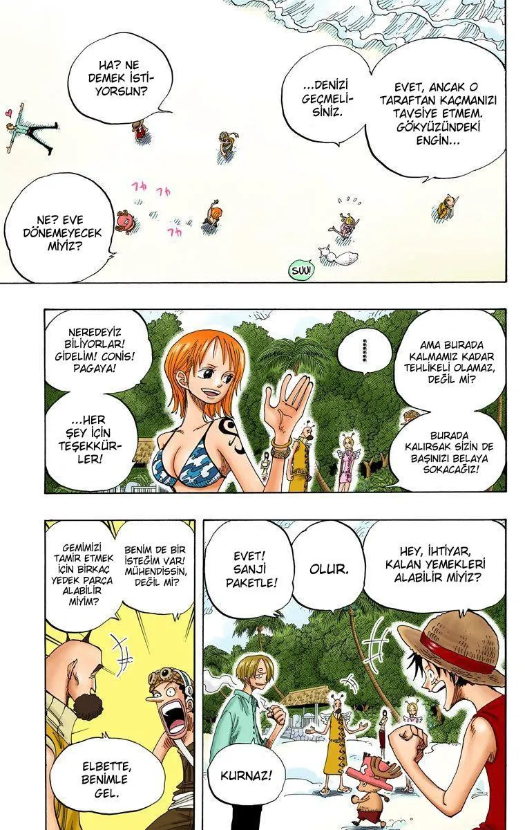 One Piece [Renkli] - Sayfa 6