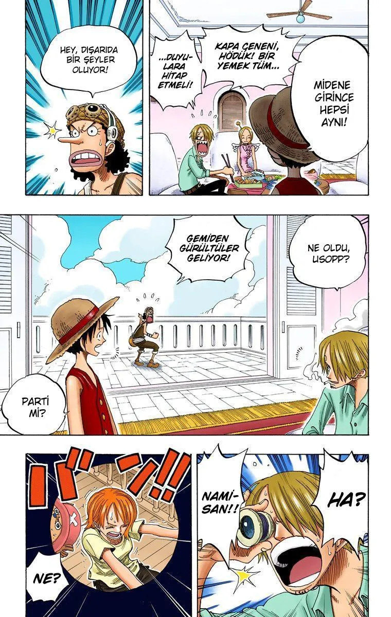 One Piece [Renkli] - Sayfa 10