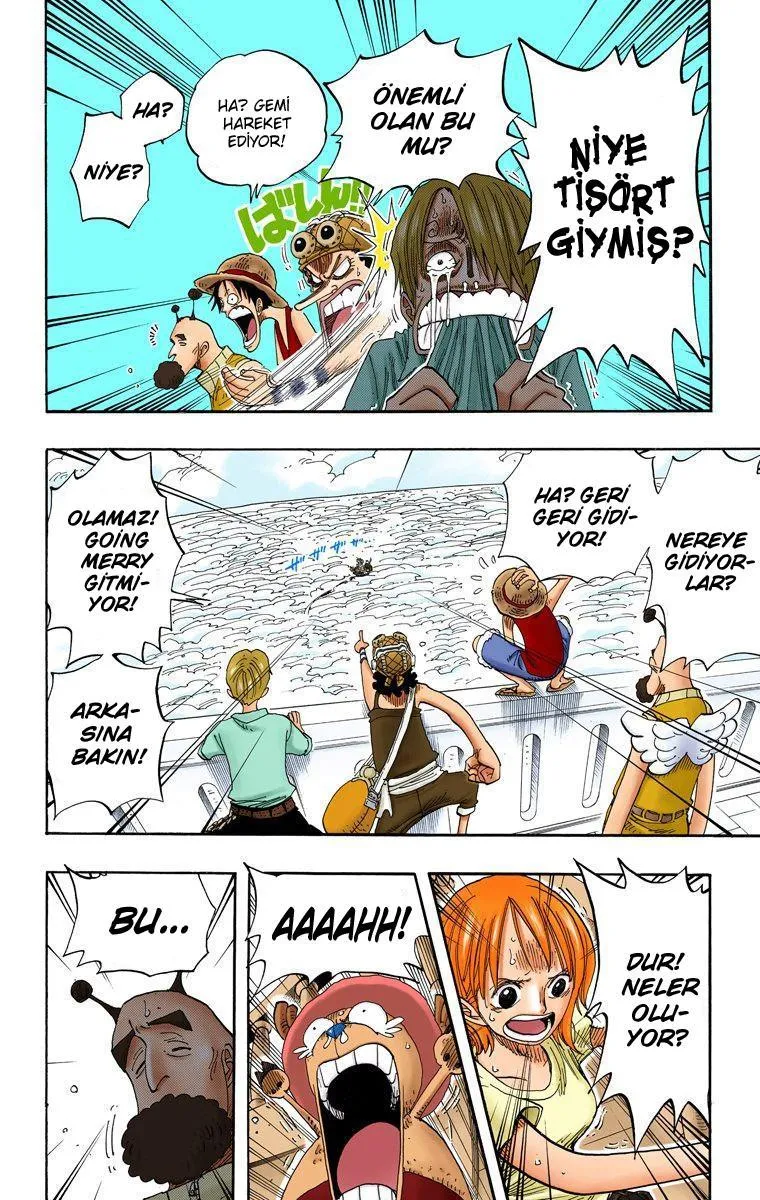 One Piece [Renkli] - Sayfa 11
