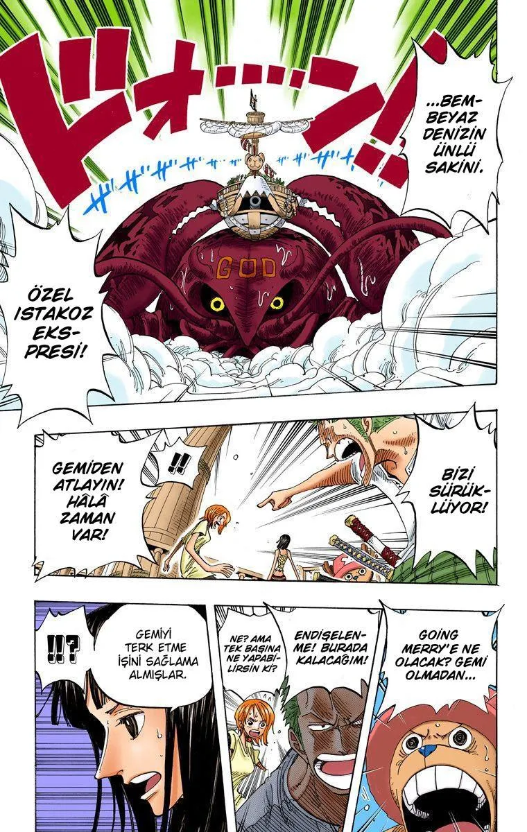 One Piece [Renkli] - Sayfa 12