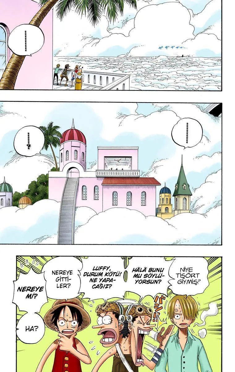 One Piece [Renkli] - Sayfa 14