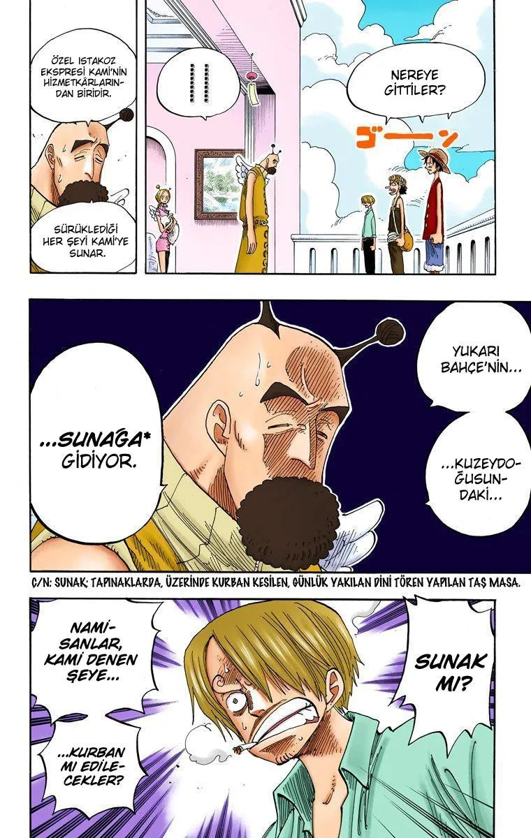 One Piece [Renkli] - Sayfa 15