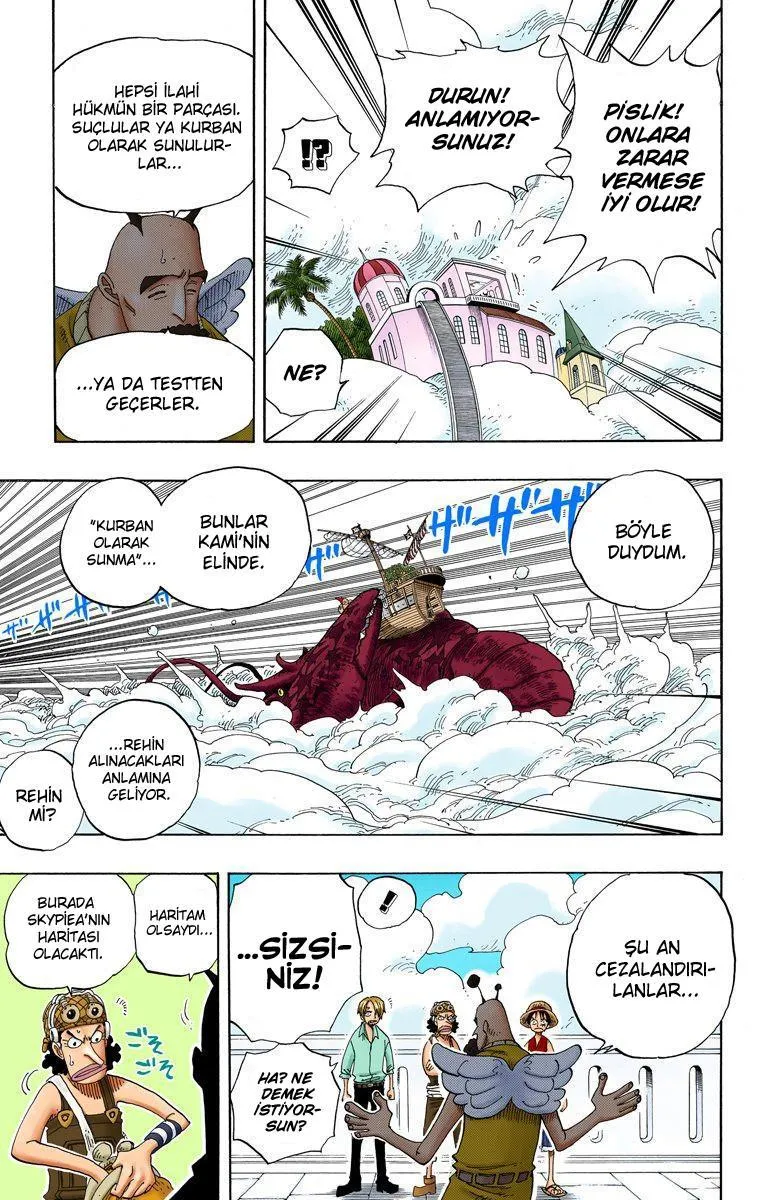 One Piece [Renkli] - Sayfa 16