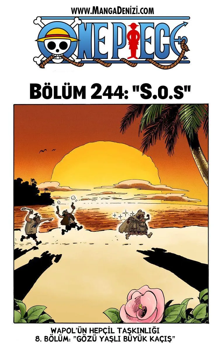 One Piece [Renkli] - Sayfa 2