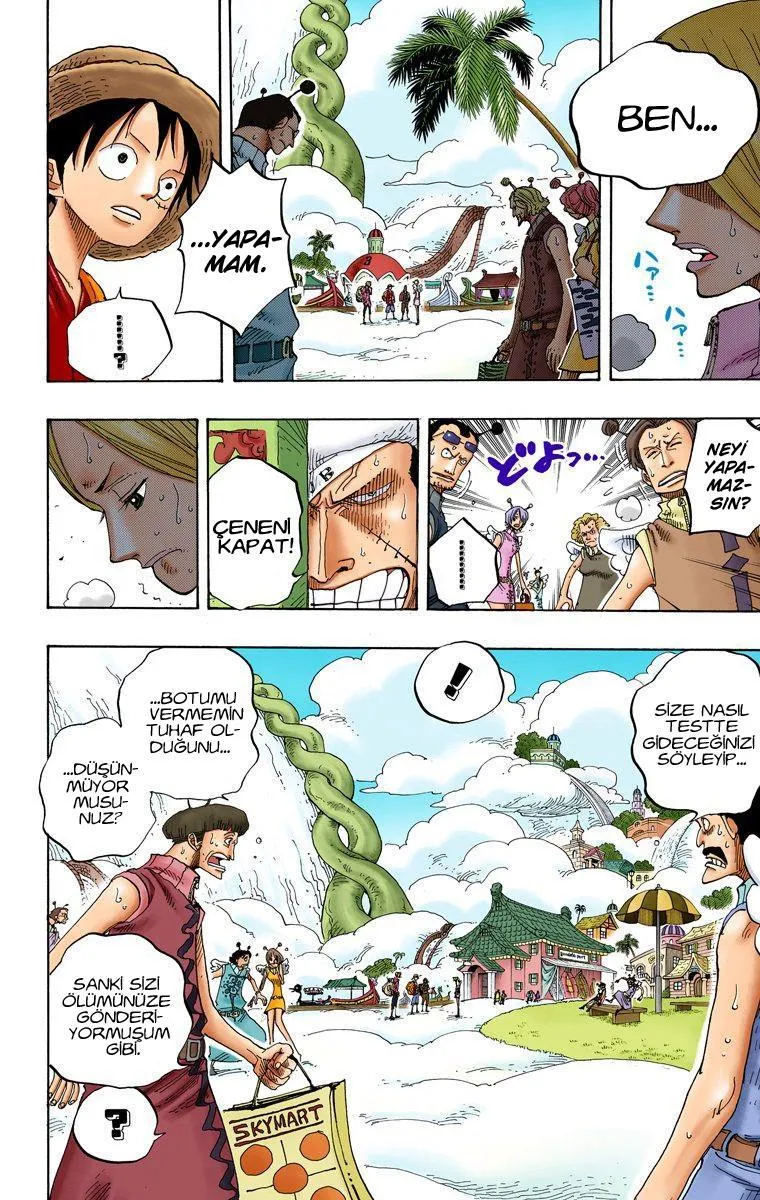 One Piece [Renkli] - Sayfa 11