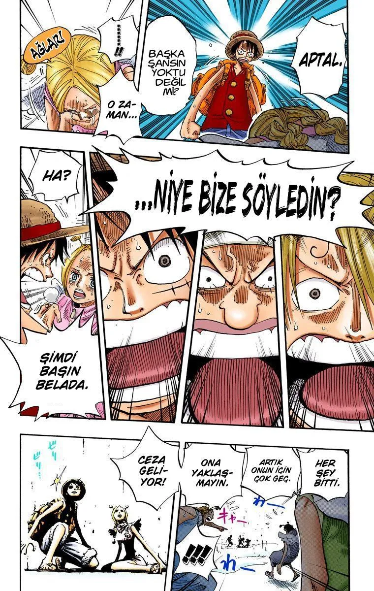 One Piece [Renkli] - Sayfa 15