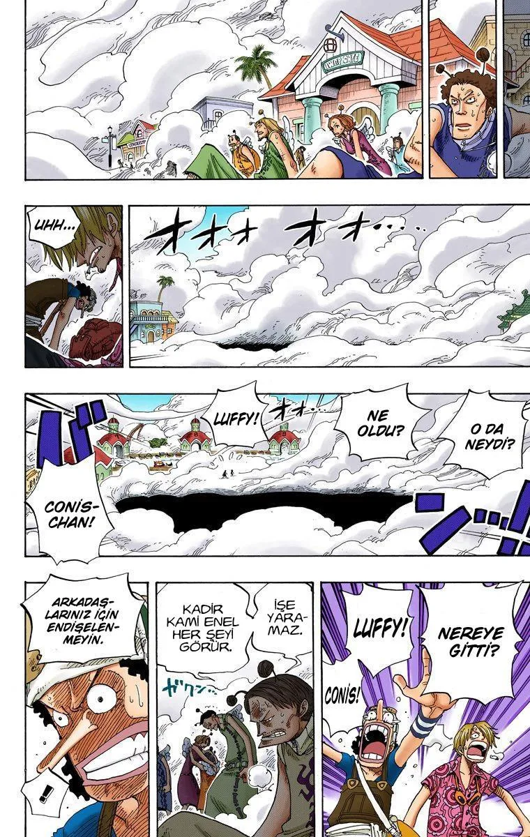 One Piece [Renkli] - Sayfa 17