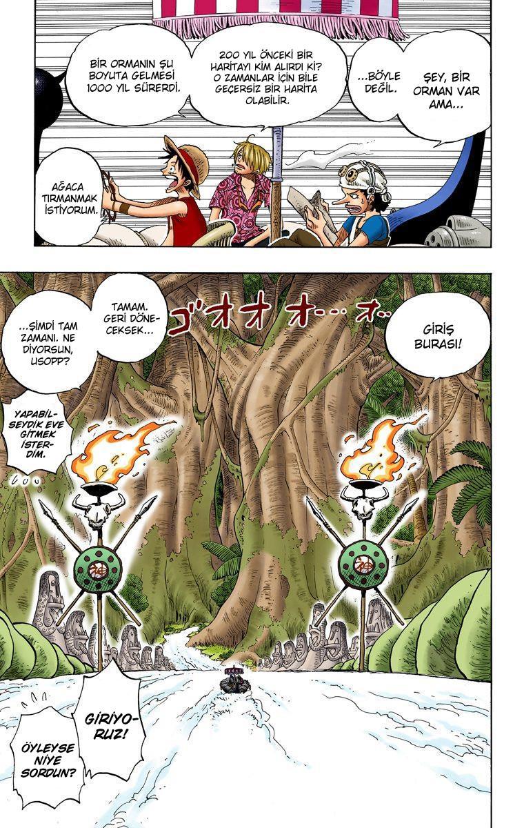 One Piece [Renkli] mangasının 0245 bölümünün 4. sayfasını okuyorsunuz.