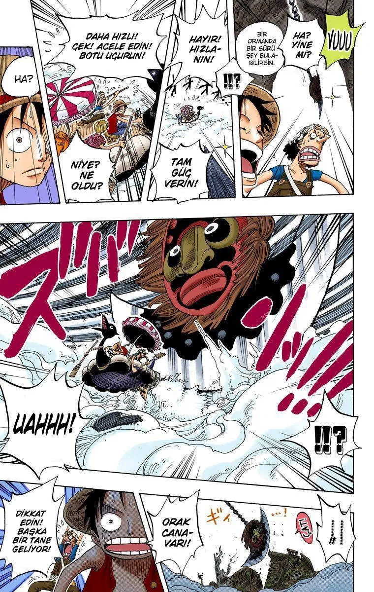 One Piece [Renkli] - Sayfa 6