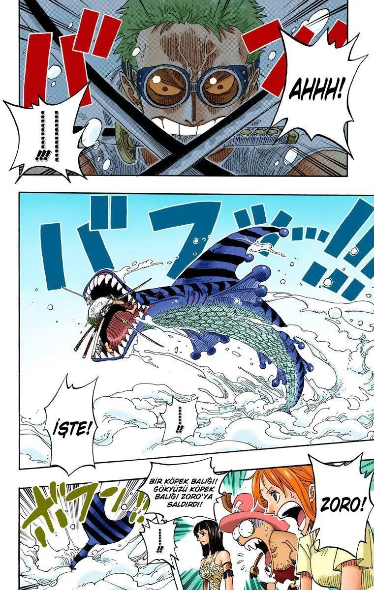 One Piece [Renkli] - Sayfa 11