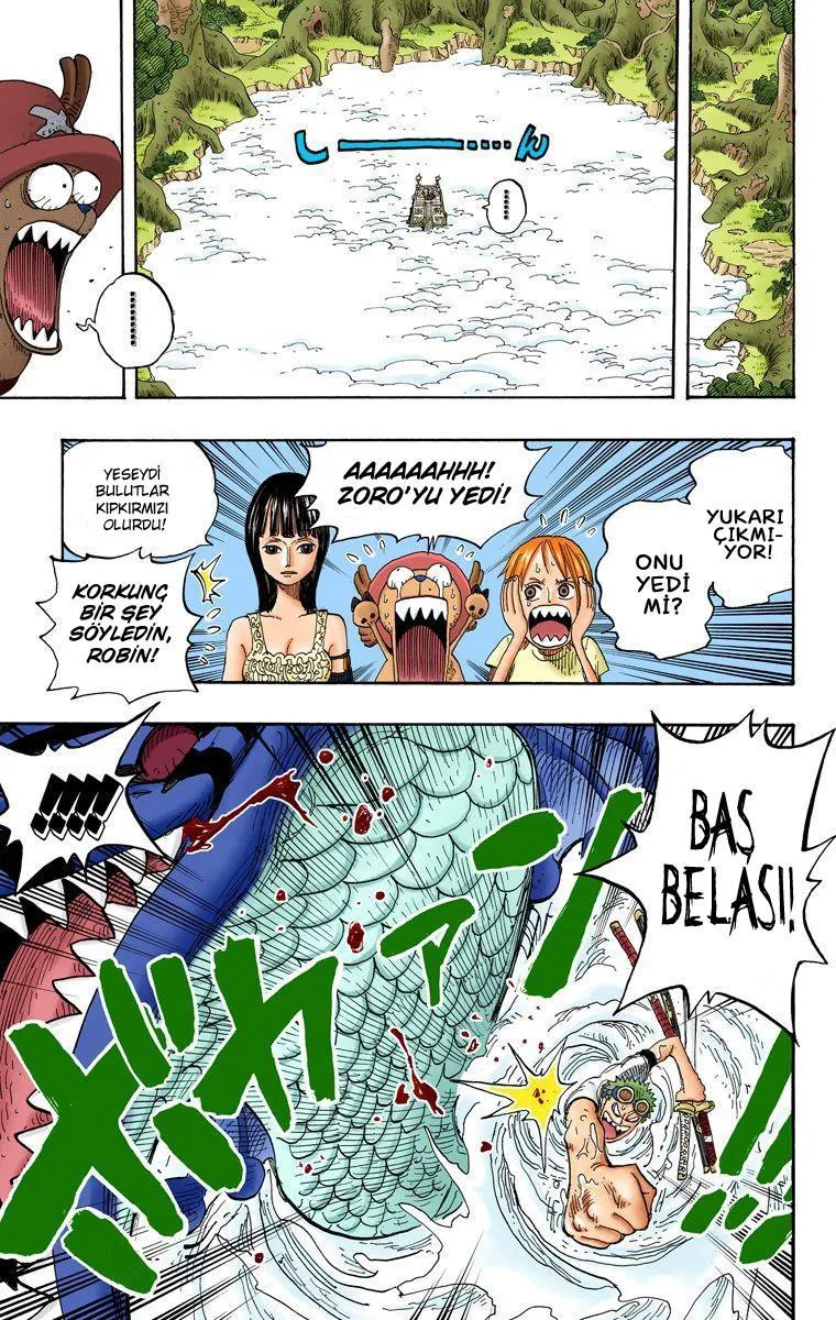 One Piece [Renkli] - Sayfa 12