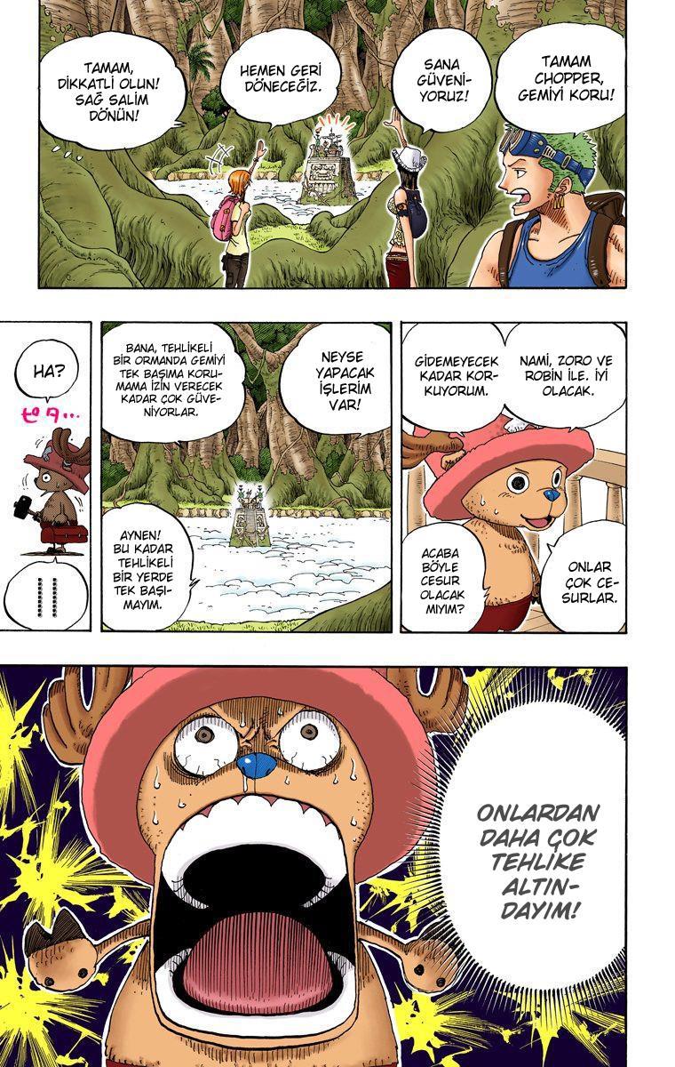 One Piece [Renkli] mangasının 0245 bölümünün 18. sayfasını okuyorsunuz.