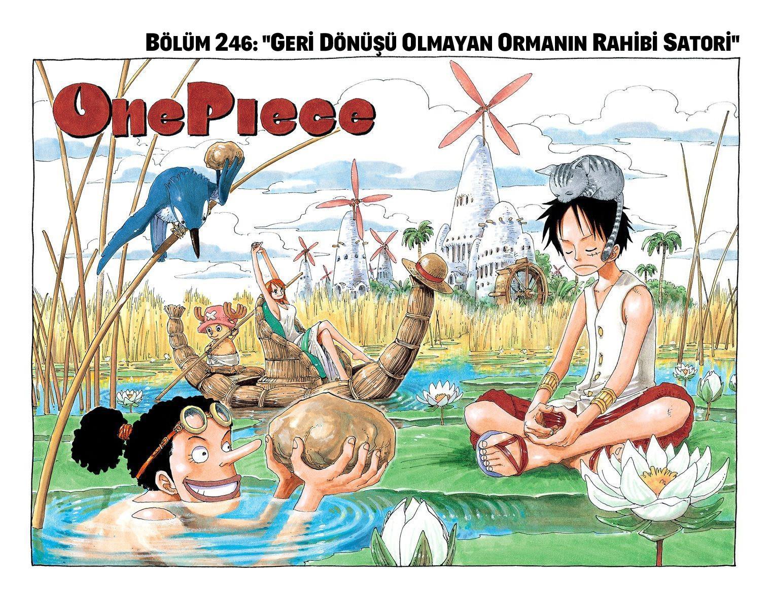One Piece [Renkli] mangasının 0246 bölümünün 2. sayfasını okuyorsunuz.
