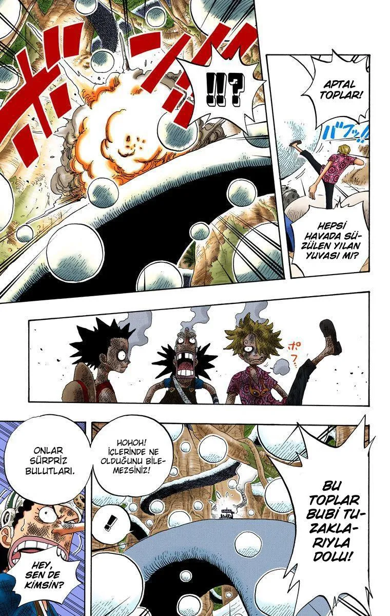 One Piece [Renkli] - Sayfa 11