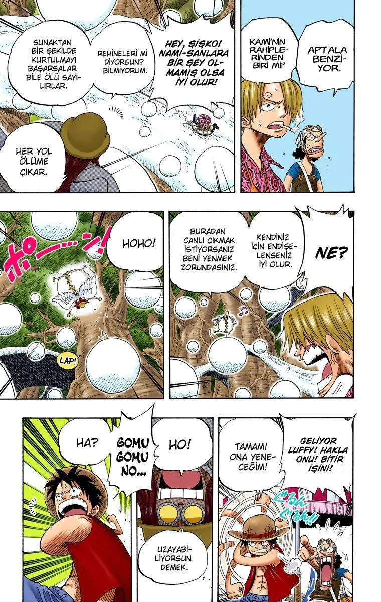 One Piece [Renkli] - Sayfa 13