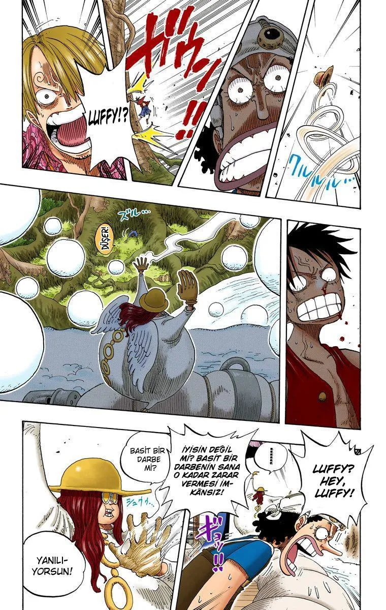 One Piece [Renkli] - Sayfa 15