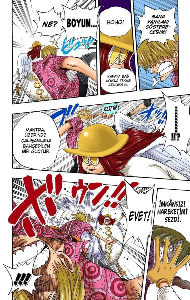 One Piece [Renkli] - Sayfa 16