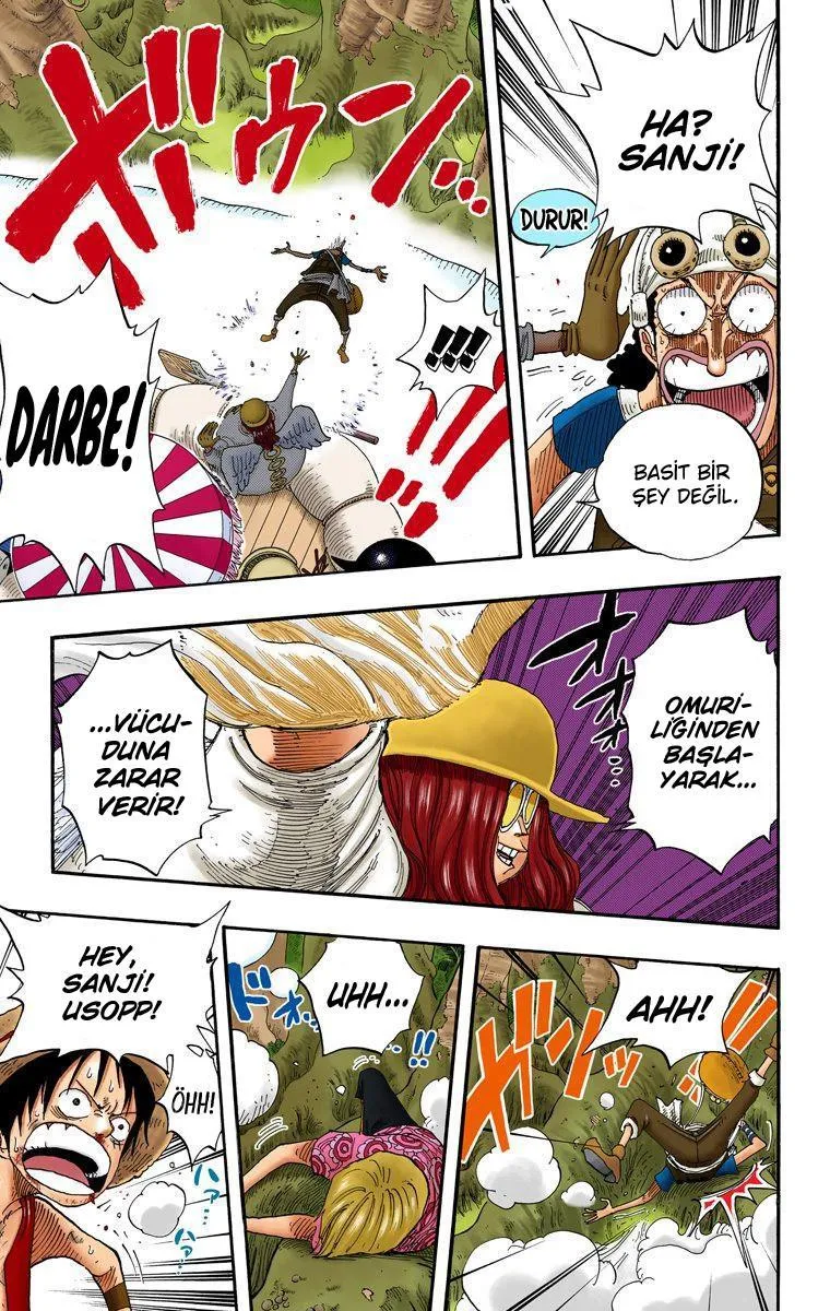 One Piece [Renkli] - Sayfa 17