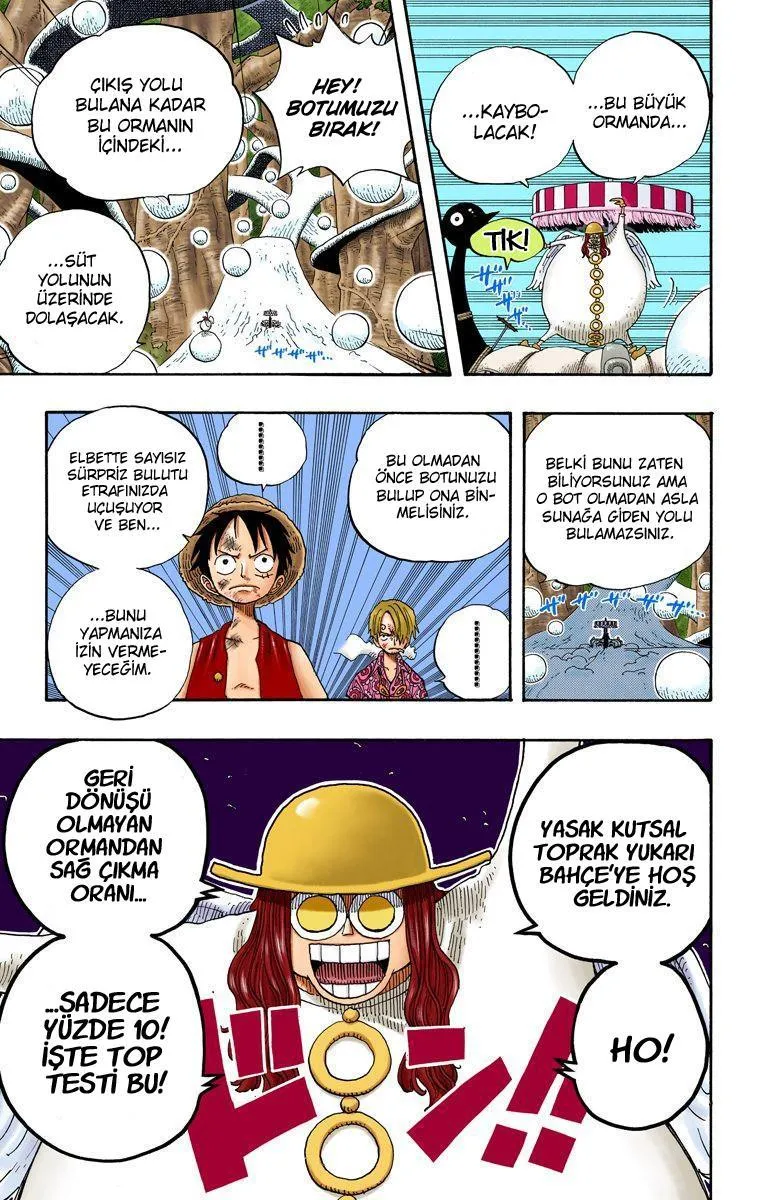 One Piece [Renkli] - Bölüm 0246 - Sayfa 19