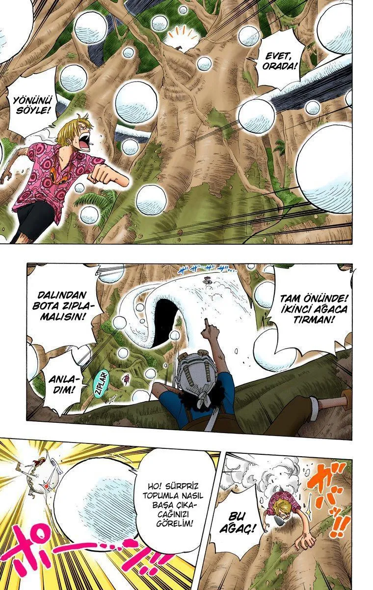 One Piece [Renkli] - Sayfa 8