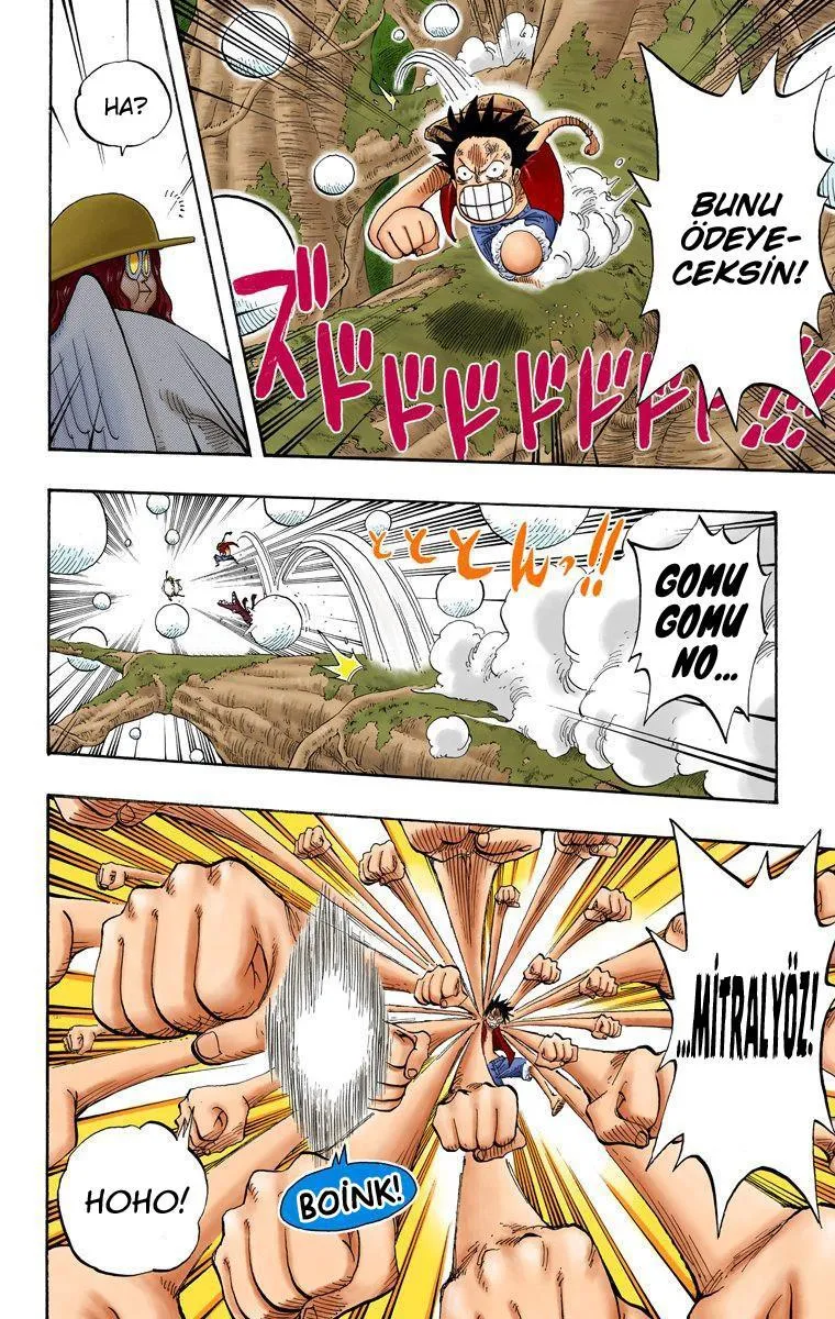 One Piece [Renkli] - Sayfa 11