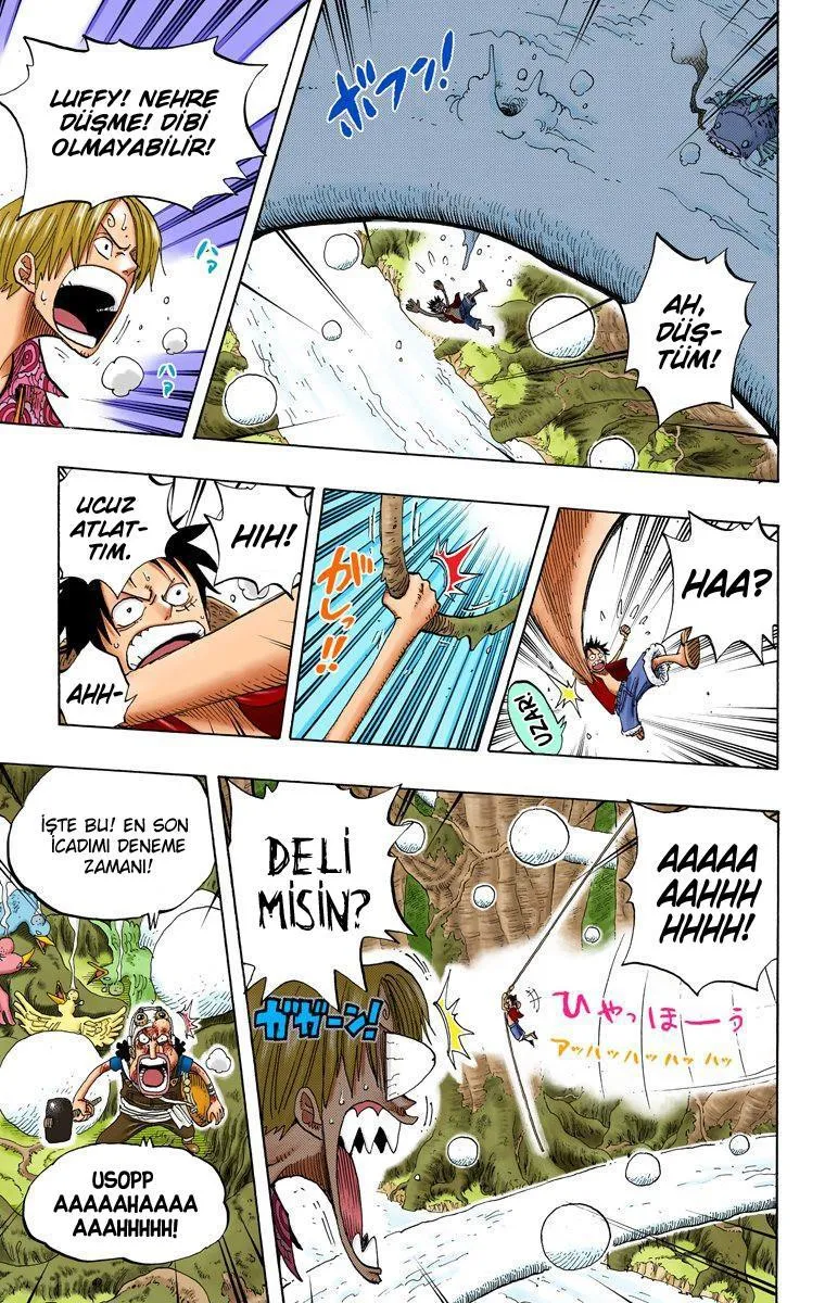 One Piece [Renkli] - Sayfa 14