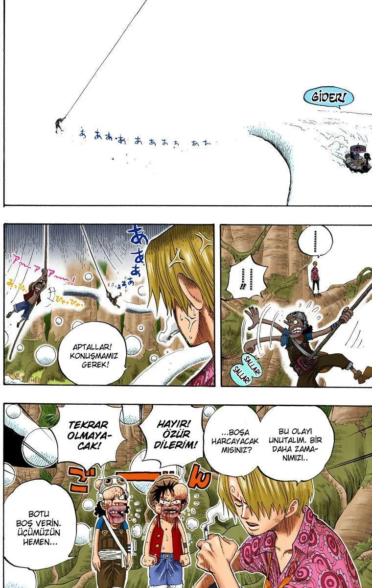 One Piece [Renkli] - Sayfa 17