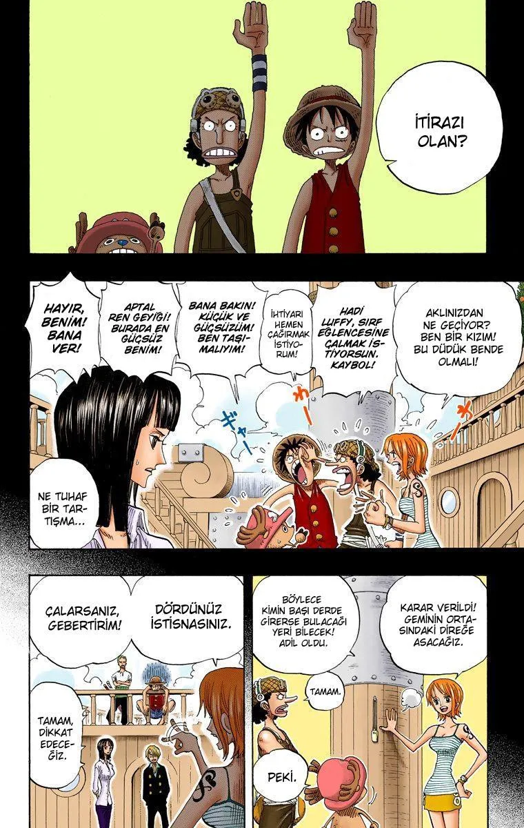 One Piece [Renkli] - Sayfa 19