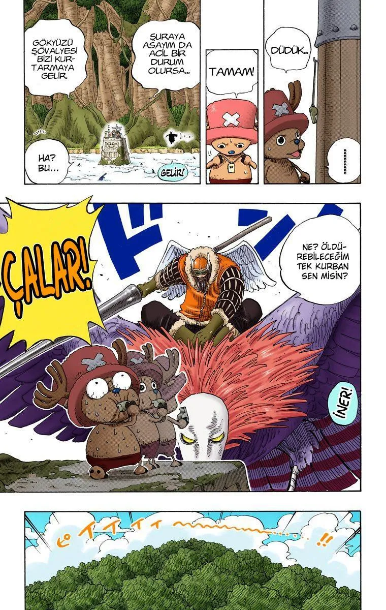 One Piece [Renkli] - Sayfa 20