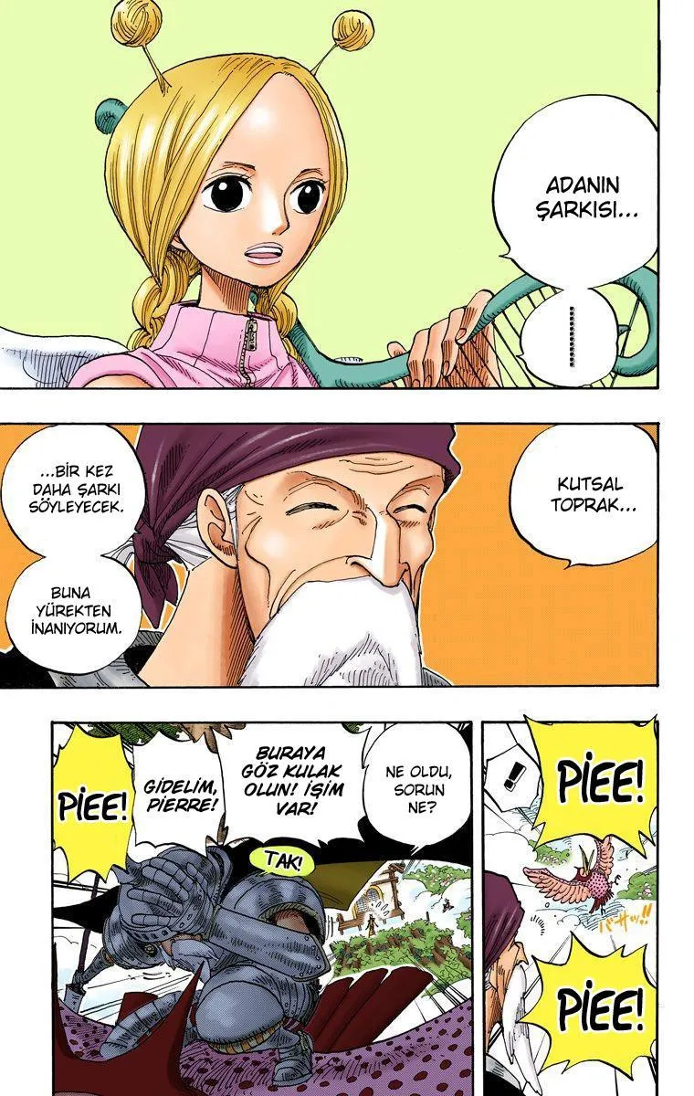 One Piece [Renkli] - Sayfa 8