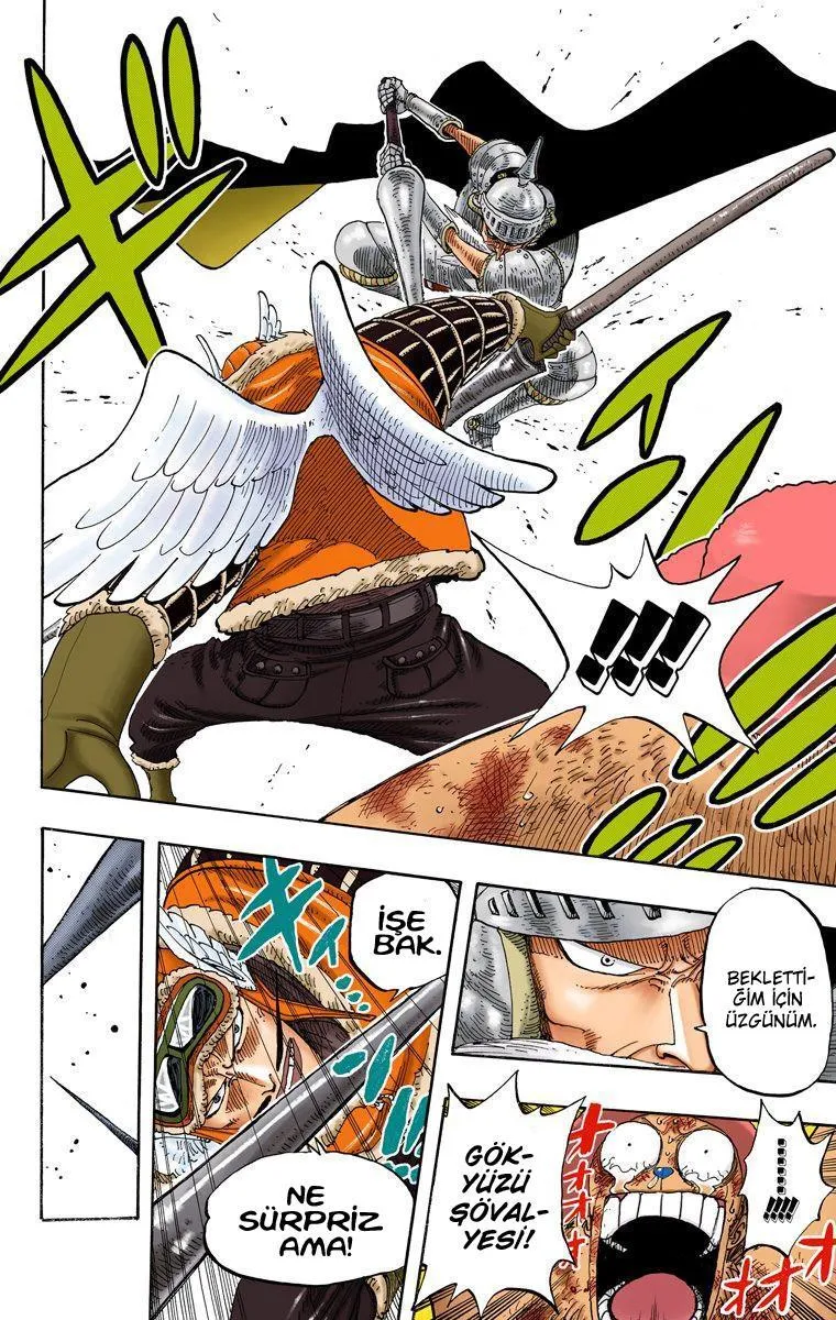 One Piece [Renkli] - Sayfa 17