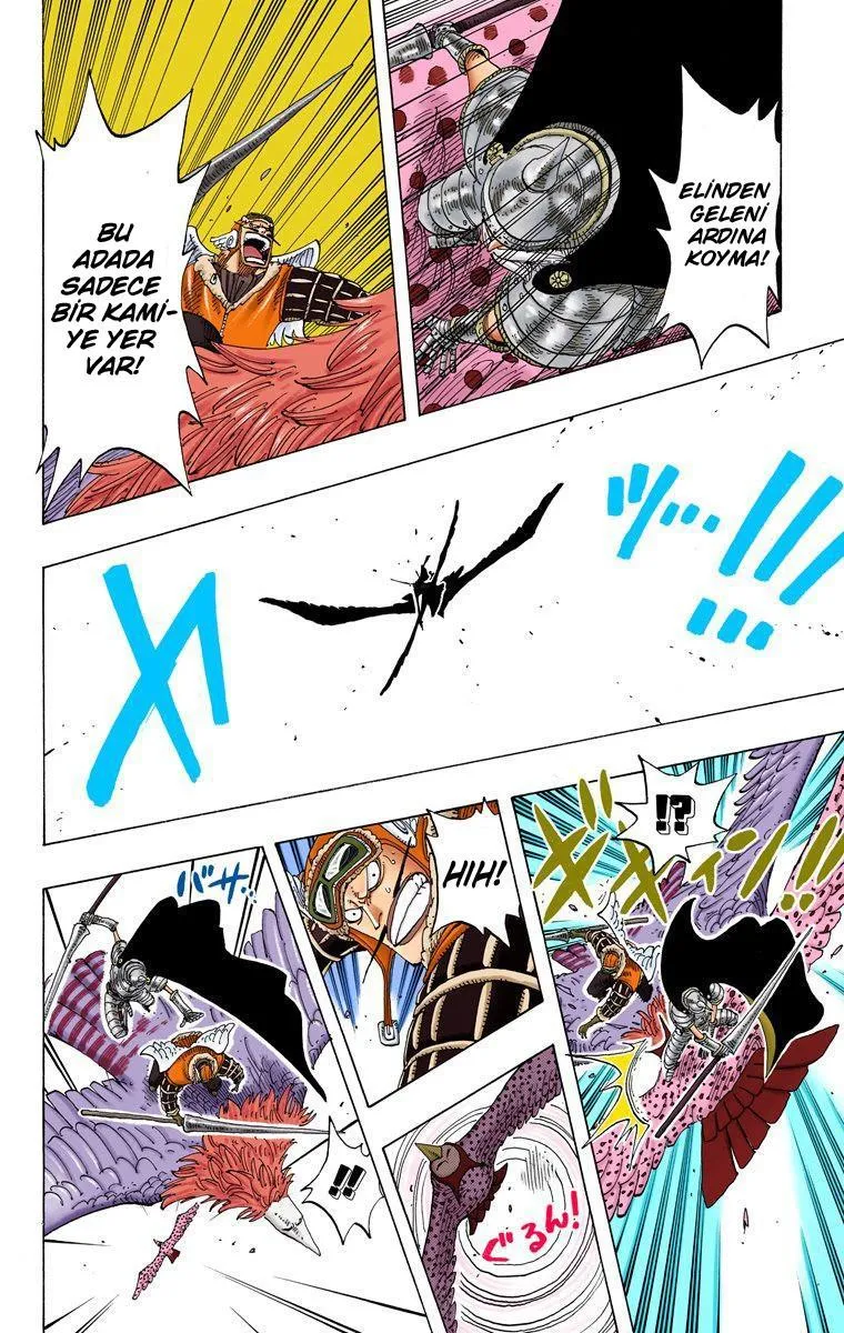 One Piece [Renkli] - Sayfa 19